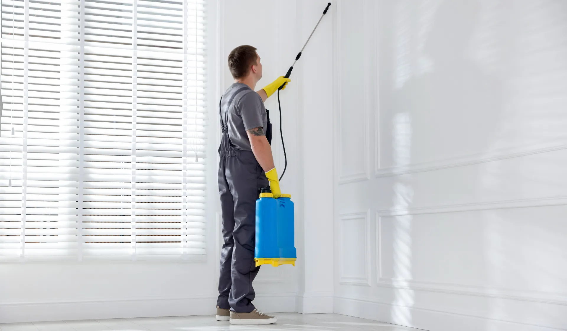 Competing against national pest control chains